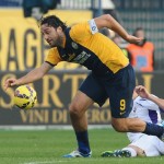 luca_toni