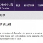 comunicato viola