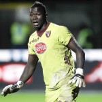 TORINO FC stagione calcistica Serie A 2012/2013  nella foto Gomis
