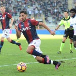taider-bologna