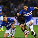 torreira