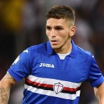 Torreira
