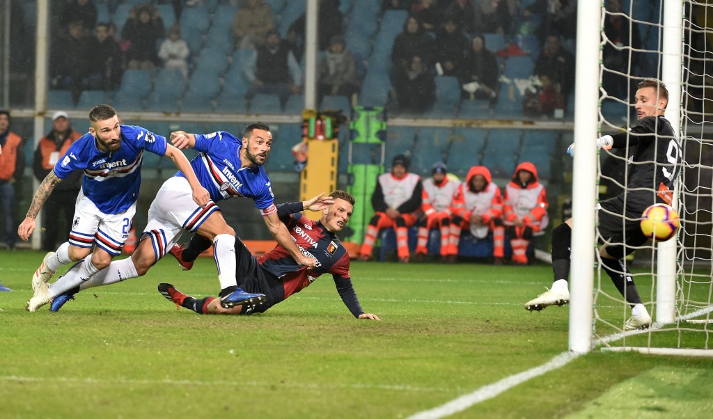 quaglia