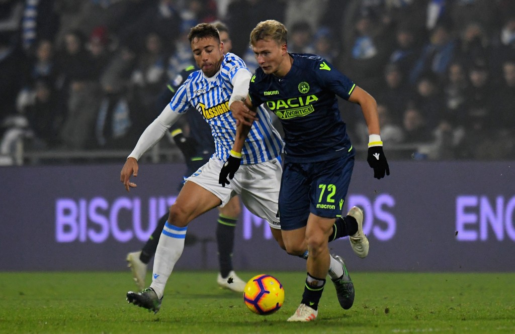 cionek spal
