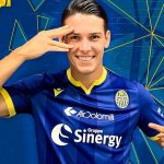 Stepinski Verona